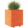 Jardinera exterior madera maciza pino marrón cera 60x60x72 cm