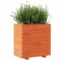 Jardinera madera maciza de pino marrón cera 70x40x72 cm