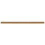 Jardinera acero corten 1152x50x36 cm de vidaXL, Maceteros y jardineras - Ref: Foro24-151983, Precio: 156,31 €, Descuento: %