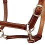 Brown Adjustable Leather Halter for Pony by vidaXL, Halters for horses - Ref: Foro24-90886, Price: 36,92 €, Discount: %