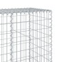 Cesta de gaviones con cubierta hierro galvanizado 300x50x200 cm en Maceteros y jardineras | Comprar online en Foro24