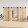 Kit de herrajes para puertas correderas acero negro 366 cm
