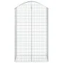 Cesta gaviones forma arco hierro galvanizado 100x50x160/180 cm de vidaXL, Maceteros y jardineras - Ref: Foro24-153438, Precio...