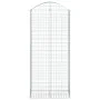 Cesta gaviones forma arco hierro galvanizado 100x50x220/240 cm de vidaXL, Maceteros y jardineras - Ref: Foro24-153441, Precio...