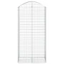 Galvanized iron arch-shaped gabion basket 100x50x200/220 cm by vidaXL, Pots and planters - Ref: Foro24-153440, Price: 60,60 €...