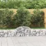 Gabion basket in arched shape, made of galvanized iron, measuring 200x30x40/60 cm. by vidaXL, Pots and planters - Ref: Foro24...