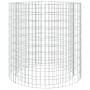 Gabionenfeuerschale aus verzinktem Eisen Ø100 cm von vidaXL, Kamine - Ref: Foro24-153561, Preis: 118,94 €, Rabatt: %