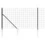 Drahtzaun mit Ankerspitzen anthrazitgrau 1x25 m von vidaXL, Zaunpaneele - Ref: Foro24-154281, Preis: 175,00 €, Rabatt: %