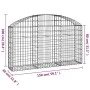 Bogenförmiger Gabionenkorb aus verzinktem Eisen, 150 x 30 x 80/100 cm von vidaXL, Töpfe und Pflanzgefäße - Ref: Foro24-153444...