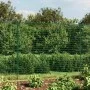 Wire fence with anchor spikes green 1.4x25 m by vidaXL, fence panels - Ref: Foro24-154107, Price: 254,49 €, Discount: %