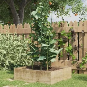 Garden plant supports with 3 rings 5 pcs green steel 75 cm by vidaXL, Trellises and plant supports - Ref: Foro24-319374, Pric...