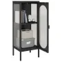 Tall glass and black steel display cabinet 40x35x105 cm by vidaXL, Sideboards - Ref: Foro24-352999, Price: 150,62 €, Discount: %