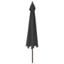 Sombrilla de jardín con poste de madera negro 400x273 cm