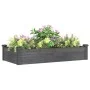 Blumenbeet-Pflanzgefäß, ausgekleidet mit massivem grauem Tannenholz, 120 x 60 x 25 cm von vidaXL, Töpfe und Pflanzgefäße - Re...