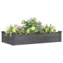 Blumenbeet-Pflanzgefäß, ausgekleidet mit massivem grauem Tannenholz, 120 x 60 x 25 cm von vidaXL, Töpfe und Pflanzgefäße - Re...