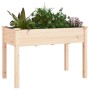 Planter with interior lining solid fir wood 118x59x76 cm by vidaXL, Pots and planters - Ref: Foro24-364233, Price: 111,03 €, ...