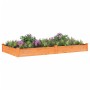 Blumenbeetkasten mit brauner Tannenholzverkleidung, 240 x 120 x 25 cm von vidaXL, Töpfe und Pflanzgefäße - Ref: Foro24-364302...