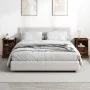 Mesitas de noche 2 unidades color roble ahumado 43x36x60 cm de vidaXL, Mesitas de noche - Ref: Foro24-816339, Precio: 83,33 €...