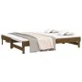 Abnehmbares Schlafsofa aus massivem braunem Kiefernholz, 2 x (100 x 200) cm von vidaXL, Betten und Lattenroste - Ref: Foro24-...