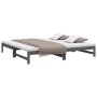 Abnehmbares Schlafsofa aus massivem, grauem Kiefernholz, 2 x (90 x 200) cm von vidaXL, Betten und Lattenroste - Ref: Foro24-8...