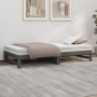 Abnehmbares Schlafsofa aus massivem, grauem Kiefernholz, 2 x (90 x 200) cm von vidaXL, Betten und Lattenroste - Ref: Foro24-8...