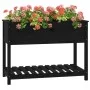 Planter with shelf solid black pine wood 111.5x54x81 cm by vidaXL, Pots and planters - Ref: Foro24-823791, Price: 110,58 €, D...