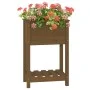 Jardinera de madera maciza de pino marrón 54x34,5x81 cm de vidaXL, Maceteros y jardineras - Ref: Foro24-823755, Precio: 55,85...