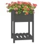Planter with shelf solid gray pine wood 54x34.5x81 cm by vidaXL, Pots and planters - Ref: Foro24-823775, Price: 62,88 €, Disc...