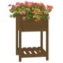 Solid brown pine wood planter 54x54x81 cm by vidaXL, Pots and planters - Ref: Foro24-823776, Price: 65,63 €, Discount: %