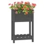 Jardinera de madera maciza de pino gris 54x34,5x81 cm de vidaXL, Maceteros y jardineras - Ref: Foro24-823754, Precio: 55,85 €...