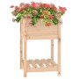 Planter with solid pine wood shelf 54x54x81 cm by vidaXL, Pots and planters - Ref: Foro24-823773, Price: 55,89 €, Discount: %