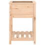Planter with solid pine wood shelf 54x54x81 cm by vidaXL, Pots and planters - Ref: Foro24-823773, Price: 55,89 €, Discount: %