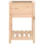 Planter with solid pine wood shelf 54x54x81 cm by vidaXL, Pots and planters - Ref: Foro24-823773, Price: 55,04 €, Discount: %