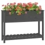 Planter with shelf solid gray pine wood 111.5x34.5x81 cm by vidaXL, Pots and planters - Ref: Foro24-823768, Price: 95,14 €, D...