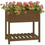 Jardinera con estante madera maciza marrón miel 82,5x54x81 cm de vidaXL, Maceteros y jardineras - Ref: Foro24-823783, Precio:...