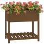 Planter with shelf solid wood honey brown 82.5x54x81 cm by vidaXL, Pots and planters - Ref: Foro24-823783, Price: 94,13 €, Di...