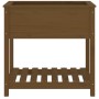 Planter with shelf solid wood honey brown 82.5x54x81 cm by vidaXL, Pots and planters - Ref: Foro24-823783, Price: 94,13 €, Di...