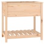 Planter with solid pine wood shelf 82.5x54x81 cm by vidaXL, Pots and planters - Ref: Foro24-823780, Price: 71,22 €, Discount: %