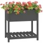 Planter with shelf solid gray pine wood 82.5x54x81 cm by vidaXL, Pots and planters - Ref: Foro24-823782, Price: 83,85 €, Disc...