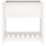 Planter with shelf solid white pine wood 82.5x54x81cm by vidaXL, Pots and planters - Ref: Foro24-823781, Price: 84,64 €, Disc...