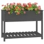 Planter with shelf solid gray pine wood 111.5x54x81 cm by vidaXL, Pots and planters - Ref: Foro24-823789, Price: 87,51 €, Dis...