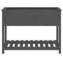 Planter with shelf solid gray pine wood 111.5x54x81 cm by vidaXL, Pots and planters - Ref: Foro24-823789, Price: 87,51 €, Dis...