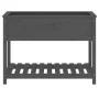 Planter with shelf solid gray pine wood 111.5x54x81 cm by vidaXL, Pots and planters - Ref: Foro24-823789, Price: 87,51 €, Dis...