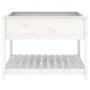 Solid pine wood white shelf planter 111.5x111.5x81cm by vidaXL, Pots and planters - Ref: Foro24-823802, Price: 149,02 €, Disc...
