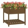 Planter with shelf solid brown pine wood 82.5x82.5x81 cm by vidaXL, Pots and planters - Ref: Foro24-823797, Price: 104,74 €, ...