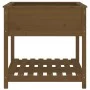 Jardinera con estante madera maciza pino marrón 82,5x82,5x81 cm de vidaXL, Maceteros y jardineras - Ref: Foro24-823797, Preci...