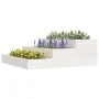 Solid white pine wood planter 78x78x27 cm by vidaXL, Pots and planters - Ref: Foro24-823907, Price: 57,54 €, Discount: %