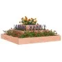 Jardinera de madera maciza de abeto douglas 80x80x27 cm de vidaXL, Maceteros y jardineras - Ref: Foro24-823869, Precio: 54,51...
