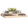 Solid pine wood planter 112x112x27 cm by vidaXL, Pots and planters - Ref: Foro24-823885, Price: 59,77 €, Discount: %