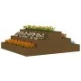 Jardinera de madera maciza de pino marrón miel 80x80x27 cm de vidaXL, Maceteros y jardineras - Ref: Foro24-823895, Precio: 47...